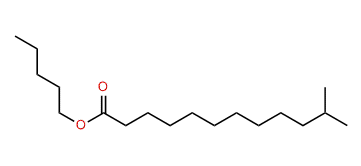 Pentyl 11-methyldodecanoate